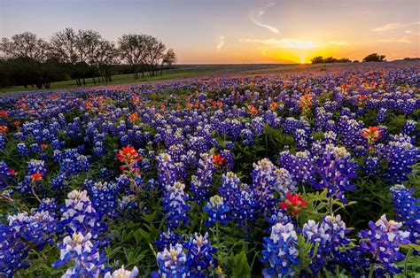 city of spring tx|Top Things to Do in Spring .